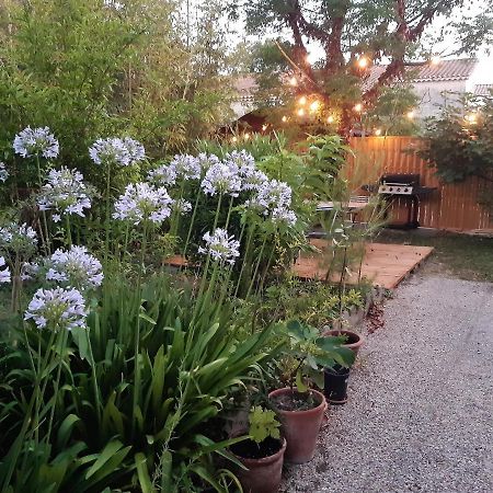 Villa " Les Bambous " , Jardin , Terrasse , Climatisation , Wifi , Parking Avignon Eksteriør bilde