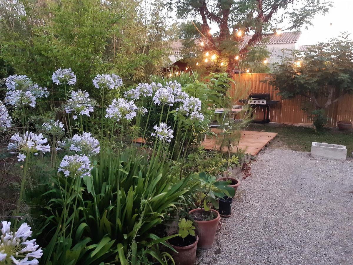 Villa " Les Bambous " , Jardin , Terrasse , Climatisation , Wifi , Parking Avignon Eksteriør bilde